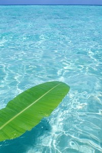 德国射击选手：技艺精湛，夺冠无愧