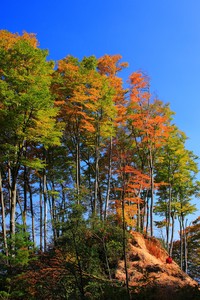 塞尔维亚憾负，小组形势岌岌可危