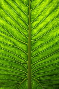 乌迪内斯本赛季首胜，提升士气